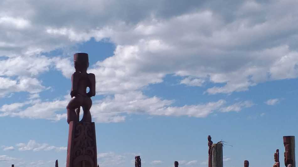 Star Compass, Hawkes Bay | Anne Lowerson