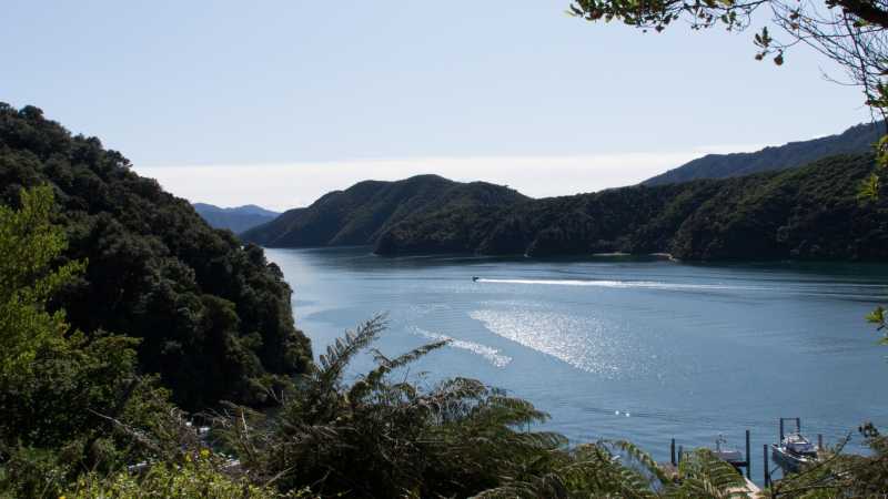 Marlborough Sounds | Carol Prantner