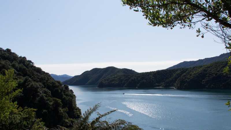 Marlborough Sounds | Carol Prantner