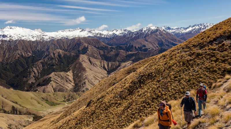 Walking through the tussocklands of Ben Lomond Station | Colin Monteath