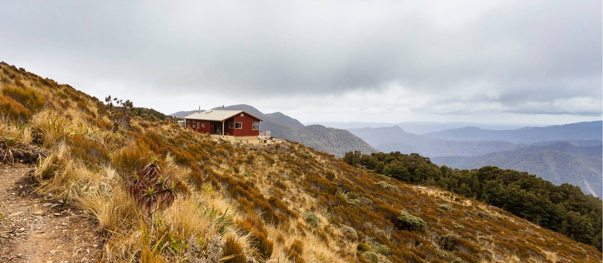 Paparoa Track Walking Tour Paparoa Self Guided Hiking Trip