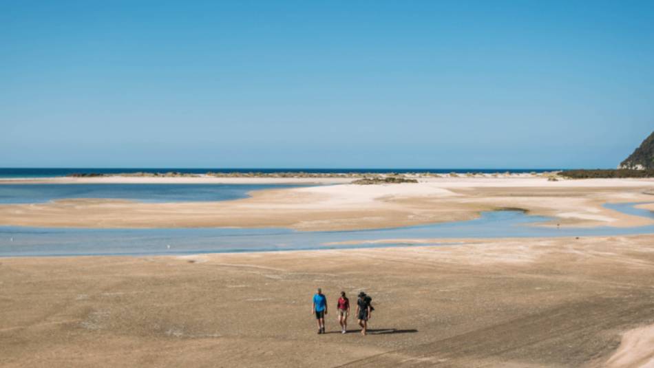 Walking Awaroa Beach at low tide | Nelson Tasman Tourism