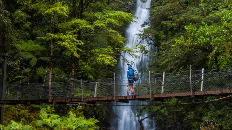 In amongst the stunning forest and wilderness is Little Homer Falls