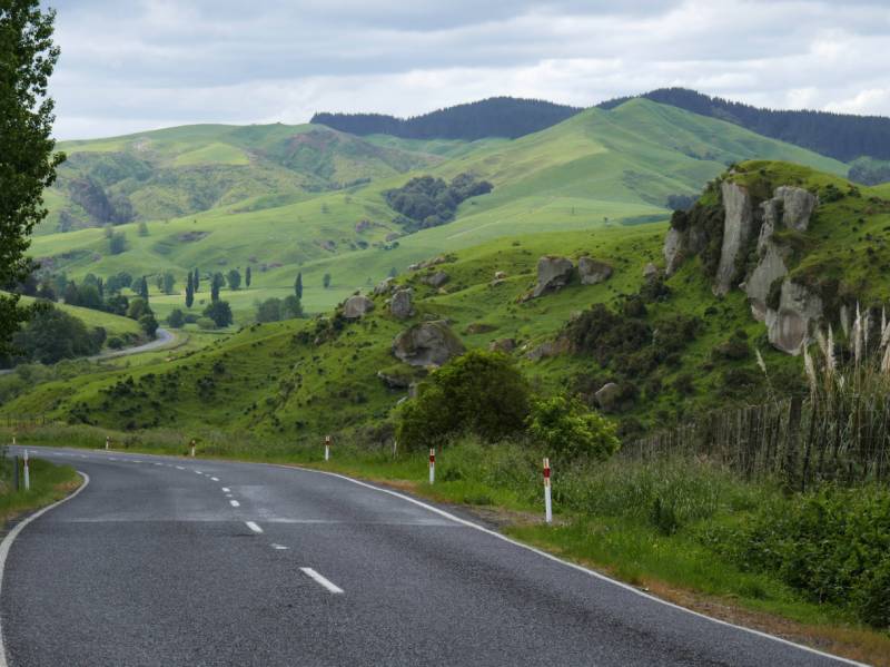 Pretty back roads of the North Island sweep through farming country | Jan Kaluza