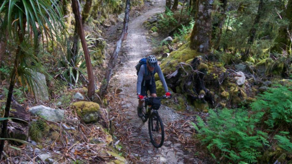 Flowing singletrack through west coast bush | Sandra Appleby