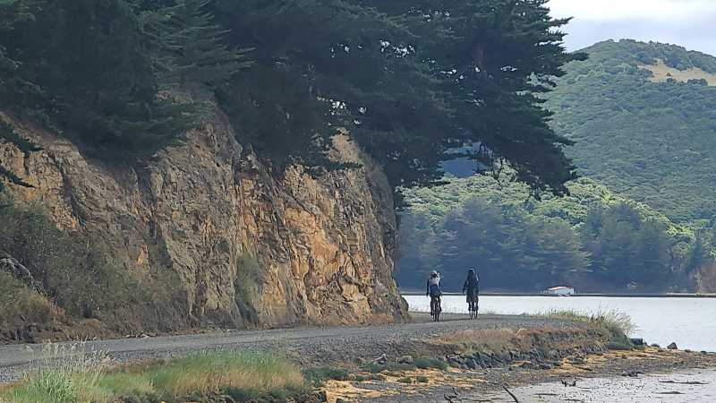 Otago Peninsula Hoopers Inlet | Annie Lowerson