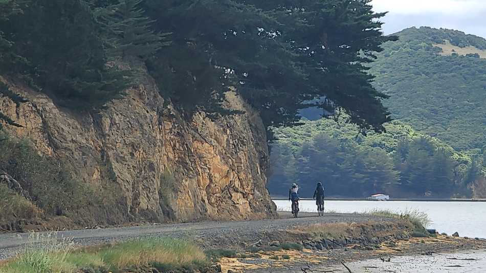 Otago Peninsula Hoopers Inlet | Annie Lowerson