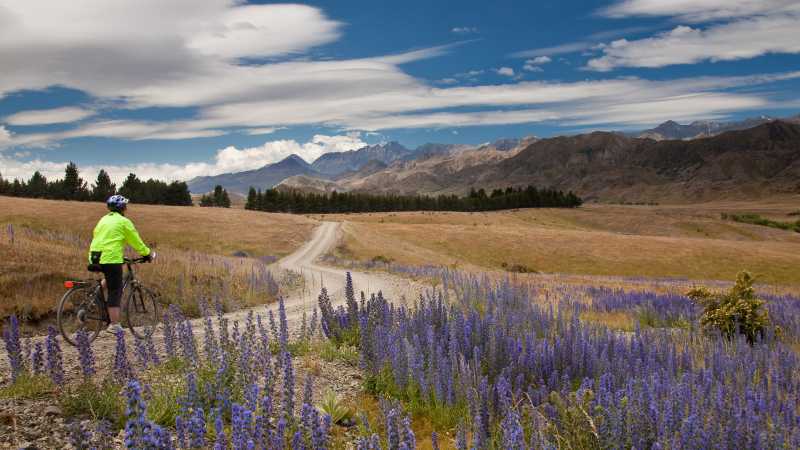 Pausing to take in the scenery on the Molesworth High Country cycle | Colin Monteath