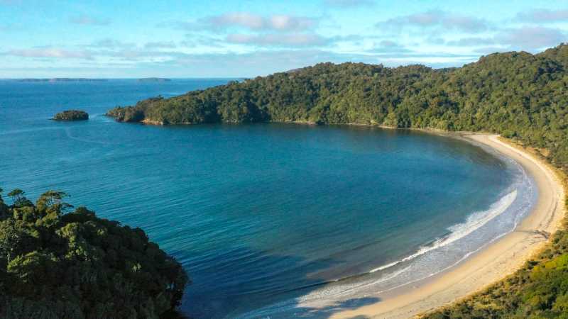Rakiura Track - Southland, NZ (Credit Tourism New Zealand) | Tourism New Zealand
