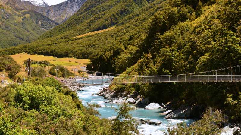 롭 로이 칵테일 (Rob Roy Cocktail)