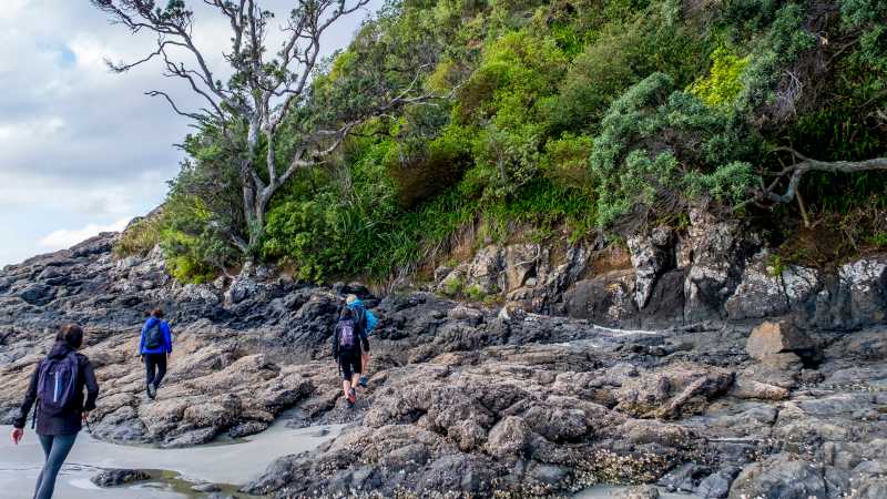 Rock hopping along the Waiheke coastline | Gabrielle Young