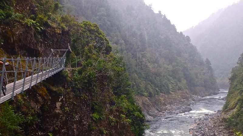 Swingbridge on the Old Ghost Road, West Coast, New Zealand. | Liam Stroud