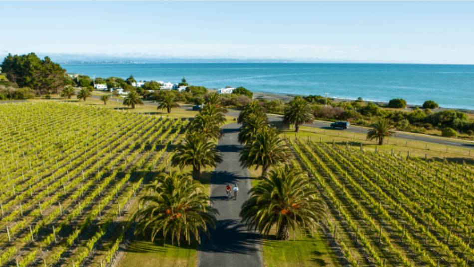 Cycling through wineries in Haumoana Hawkes Bay | Graeme Murray