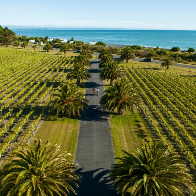 Cycling through wineries in Haumoana Hawkes Bay | Graeme Murray