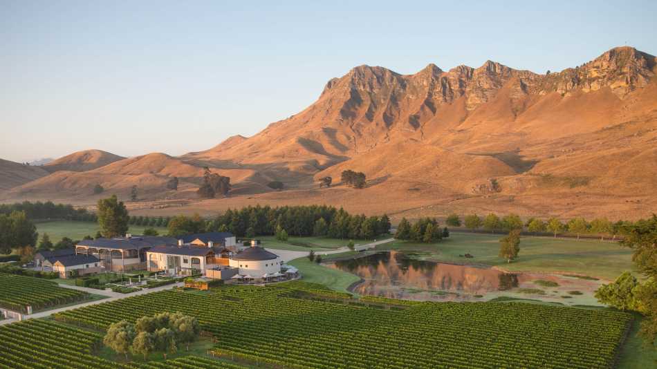 Wild expanses of vineyards can be seen as we cycle through the region of Havelock North | Graeme Murray