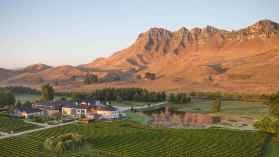 Wild expanses of vineyards can be seen as we cycle through the region of Havelock North | Graeme Murray