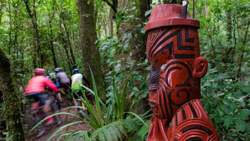 Cyclists riding the Timber Trail | StudioZag.com