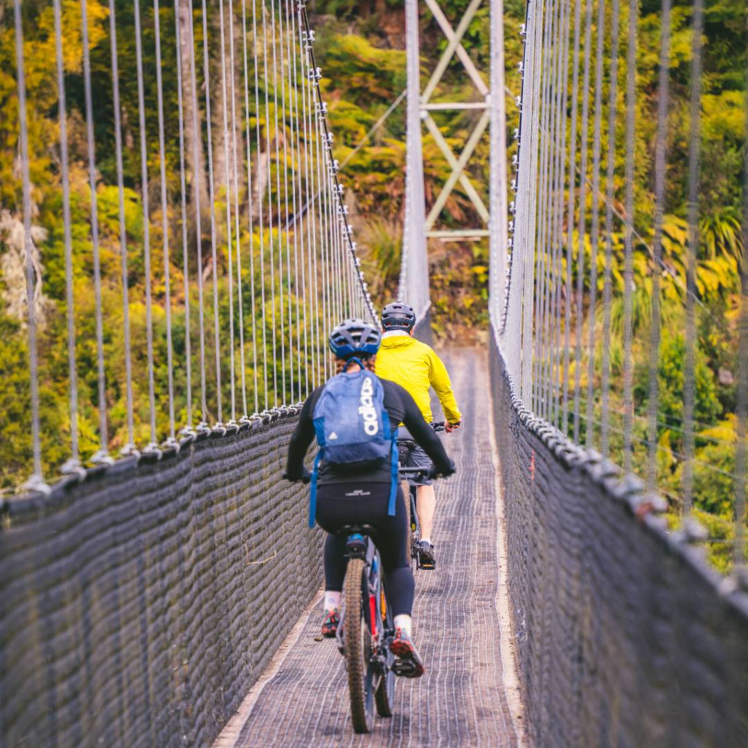 Timber Trail and Waikato Cycling Holiday North Island Bike Trips