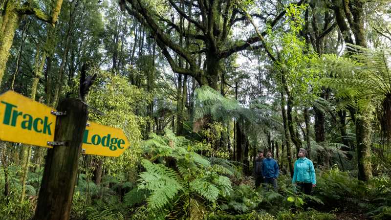 Riders enjoying their time cycling along the Timber Trail | Timber Trail Lodge