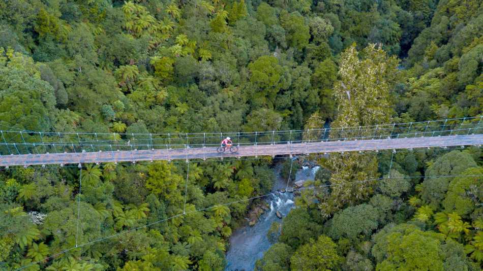 Cyclists riding the Timber Trail | BareKiwi.com