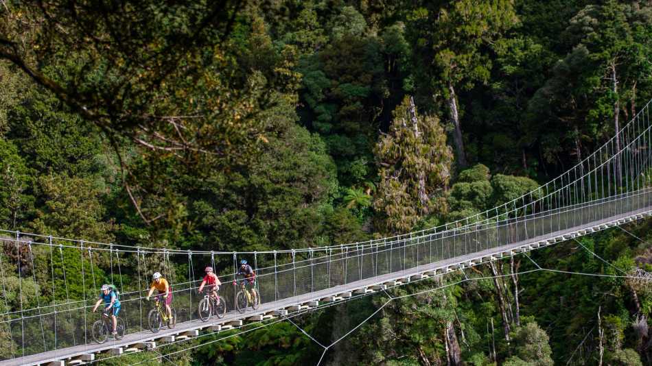 Fully immerse yourself in North Island native bush. | StudioZag.com