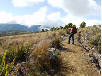 Heaphy Track Self Guided Walking Tour Heaphy Track Hikes