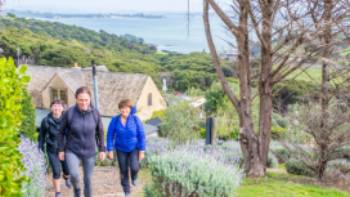 What a better way to walk then through the vineyards of Waiheke with stunning views
