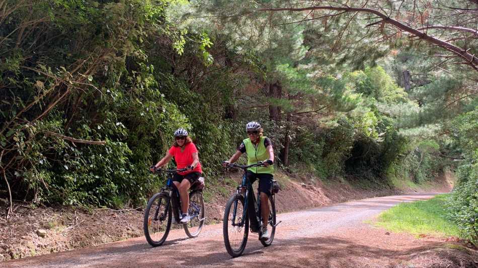 Remutaka Cycle Trail | Lisa Jones