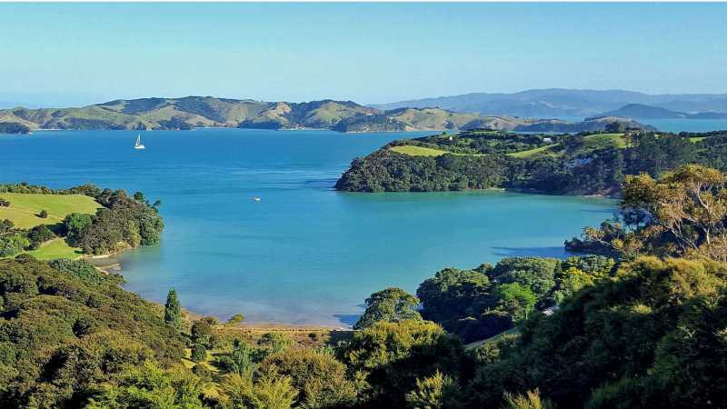 Stunnings views greet you from all corners of Waiheke | Gabrielle Young