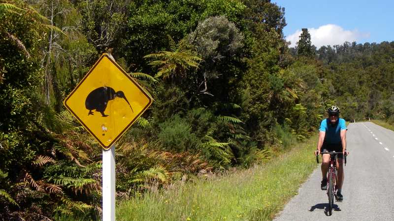 Beware of Kiwis on the West Coast of NZ! | Sandra Appleby