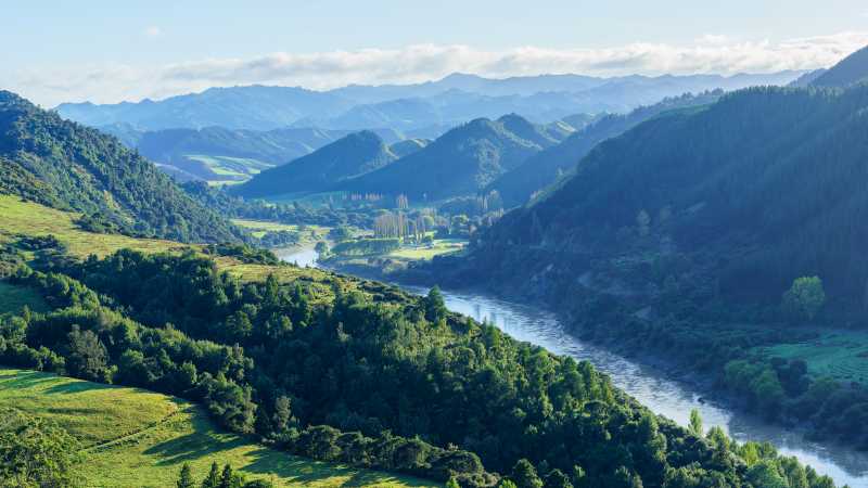 Whanganui Journey looking beautiful and lushes