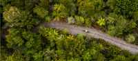 Cycling is one of the lowest impact forms of travel on the environment | Lachlan Gardiner