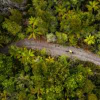 Cycling is one of the lowest impact forms of travel on the environment | Lachlan Gardiner