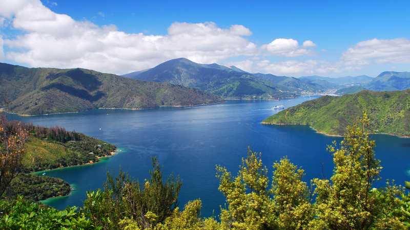 View of Marlborough Sound from the Queen Charlotte Track