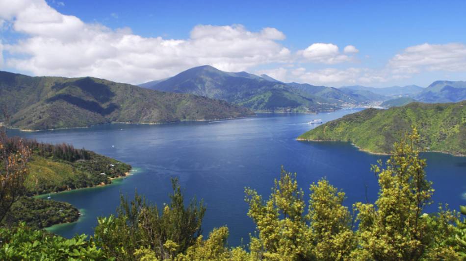 View of Marlborough Sound from the Queen Charlotte Track