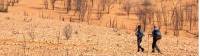 Hiking along the Larapinta Trail in the Northern Territory |  <i>#cathyfinchphotography</i>