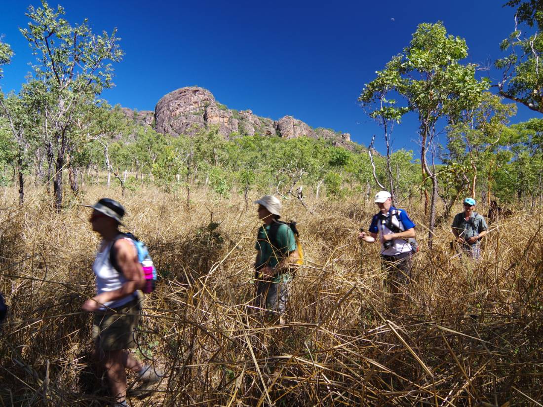 Trekking in the savannah of Kakadu |  <i>Rhys Clarke</i>