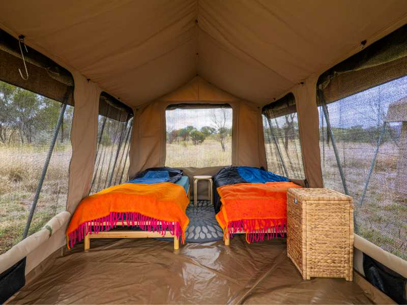 Enjoy raised beds at our Larapinta Eco-Comfort Camps | Lachlan Gardiner