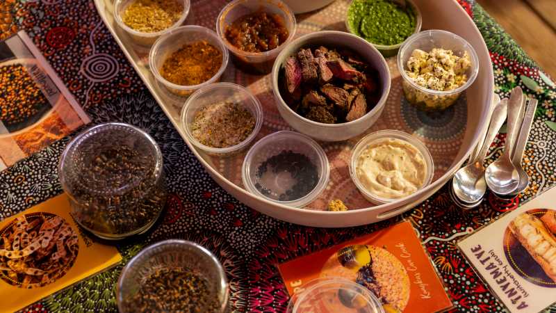 Enjoy a Bushtucker talk and sample some of the treats at our camp - Classic Larapinta Trek in Comfort, Australia