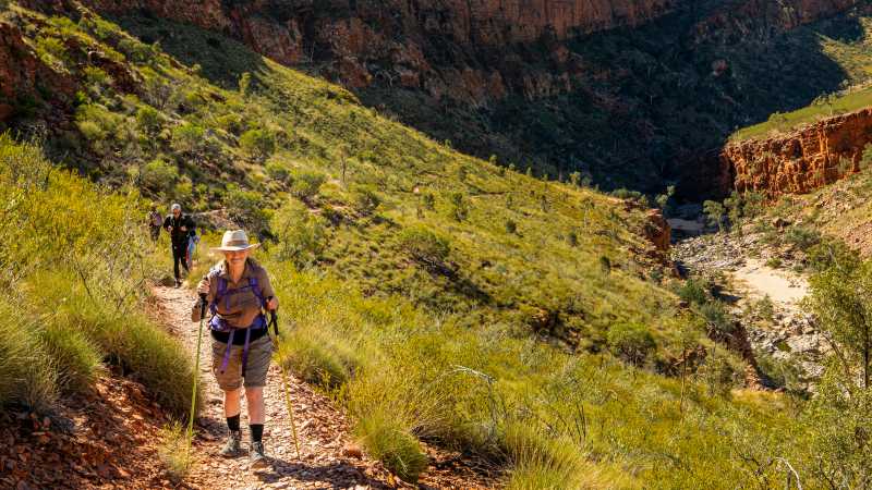 Ormiston Pound walk, Larapinta Trail - Classic Larapinta Trek in Comfort, Australia