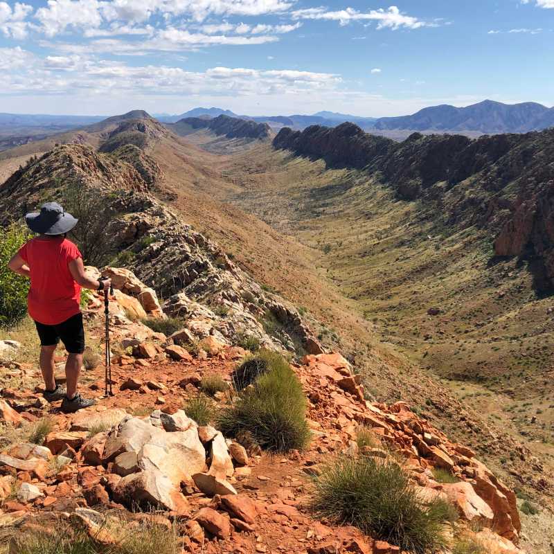 Trekking the Larapinta Trail | Sue Badyari
