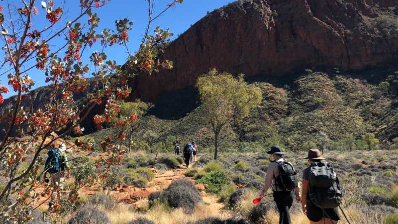 Trekking the Larapinta Trail | Sue Badyari
