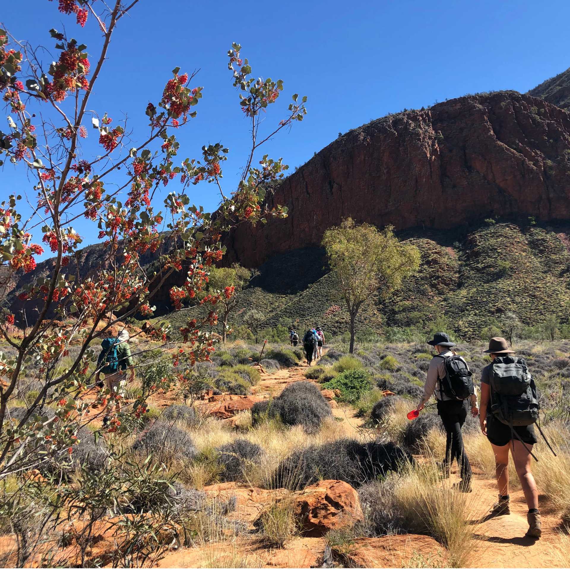 Classic Larapinta Trail Guided Walking Tour Hike the Larapinta