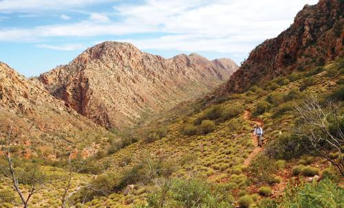 Traveller Stories My Experience Walking The Larapinta Trail In C