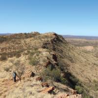 Walking along the rugged ridges of the West MacDonnell Ranges on the Larapinta Trail | Ayla Rowe