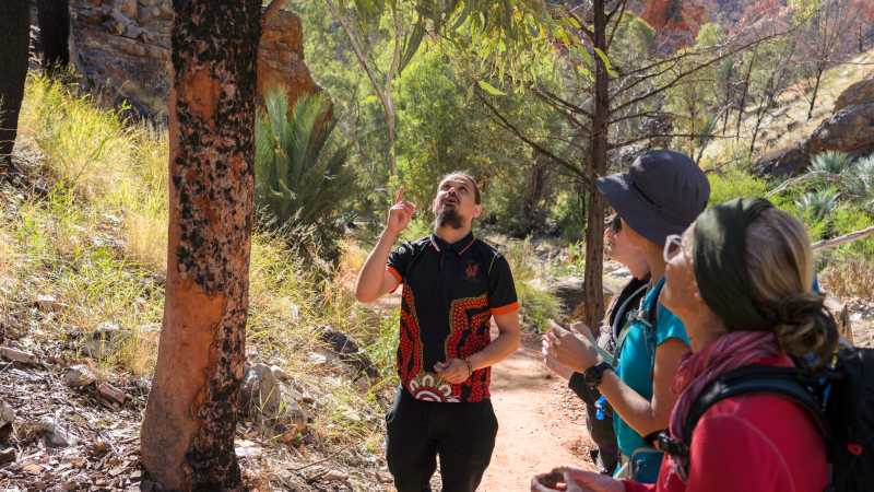 The cultural conversation at Standley Chasm will teach you more about Arrente country | Luke Tscharke