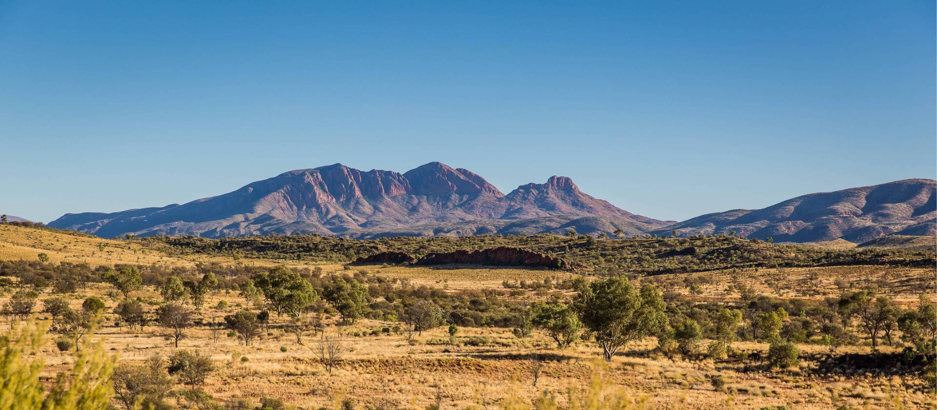 larapinta trail self guided