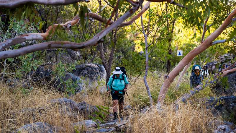 Trekking in the Top End | Oliver Risi