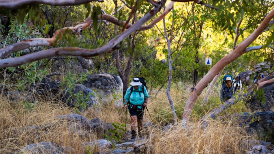 Trekking in the Top End | Oliver Risi