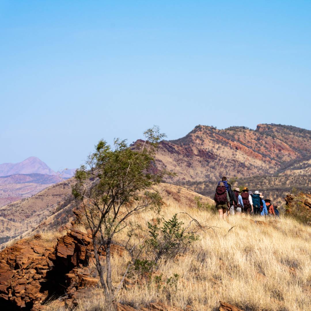 world expeditions larapinta